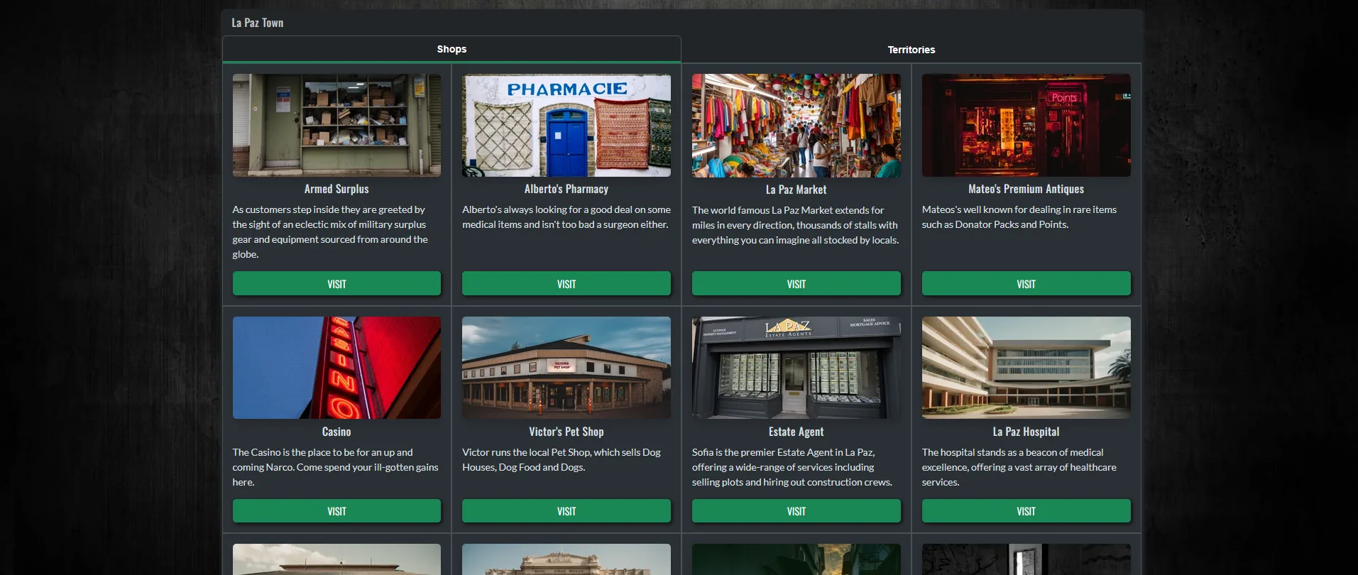 An image of the Town interface in game